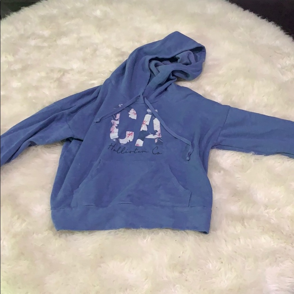 Blue Hollister hoodie.